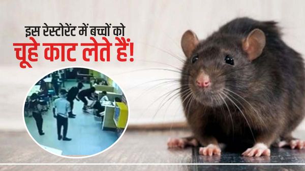 हैदराबाद के एक बड़े रेस्टोरेंट में चूहे ने एक बच्चे को काटा, Video viral होने पर क्या हुआ ? जानिए