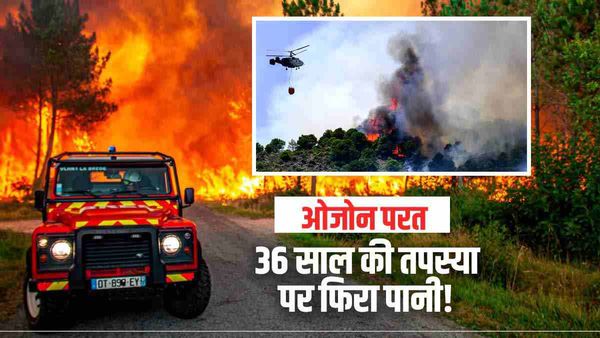 जंगल की आग से चौपट हो रहा है 36 साल का काम, ओजोन परत को लेकर वैज्ञानिकों ने फिर चेताया