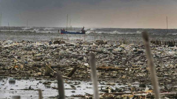 Plastic Waste in Seas: समुद्रों में बढ़ता प्लास्टिक कचरा, बन रहा करोड़ों जलीय जीवों की मौत का कारण