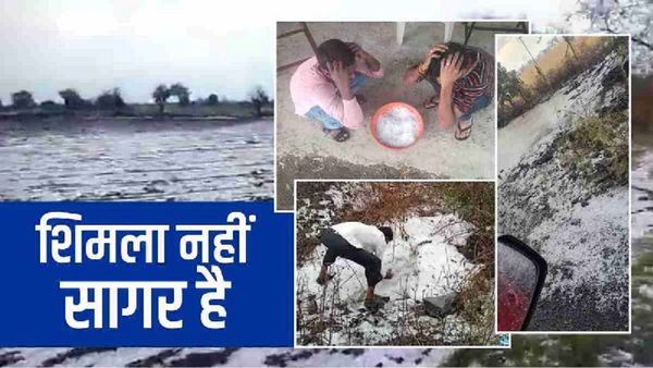 MP Weather Update: सागर-छतरपुर में भारी ओलावृष्टि, सड़क-खेतों में बिछ गई सफेद चादर, फसलें तबाह