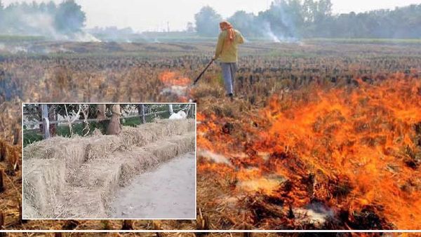 Gwalior news: पराली से हो रही लाखों की कमाई, जलाने के बजाय बना रहे तरह-तरह की चीजें