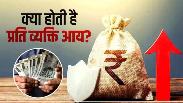प्रति व्यक्ति आय क्या है? कैसी की जाती है  कैलकुलेट, समझें पूरा गणित