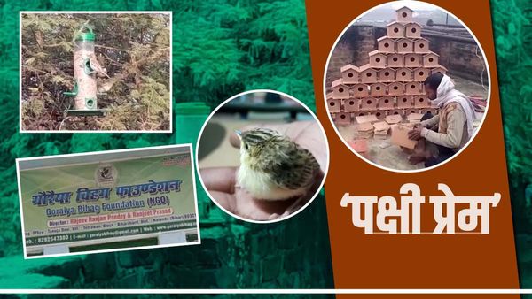 Bird Lover: राजीव का 'गोरैया प्रेम' देख कर आप भी कहेंगे जज़्बे को सलाम, जानिए क्या है पूरा मामला?
