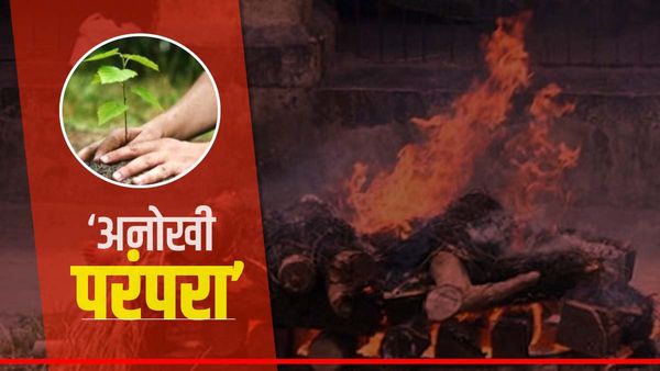 Gaya News: दाह संस्कार के बाद भलुहार गांव में है पेड़ लगाने की परंपरा, जानिए क्यों ऐसा करते हैं ग्रामीण