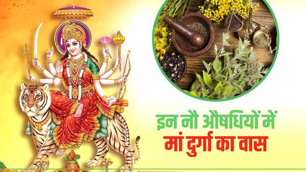 Ram Navami: महानवमी पर आदिशक्ति की उपासना, औषधियों में जगदंबा के नौ स्वरूपों के दर्शन! जानिए