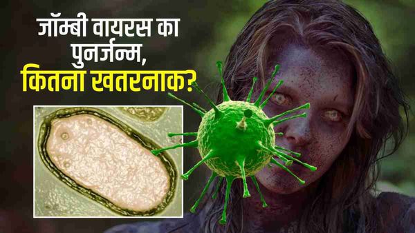 धरती पर लौटा 48,500 साल पुराना जॉम्बी वायरस, वैज्ञानिकों ने बर्फ के नीचे से निकालकर किया जिंदा, कितना खतरनाक?