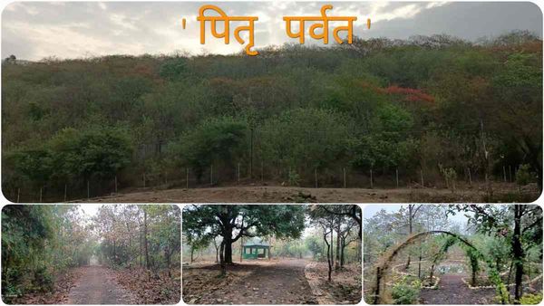Sagar: 'पितृ पर्वत' जहां पौधा लगाकर अपने 'पूर्वजों' की याद को चिरस्थाई बना सकेंगे