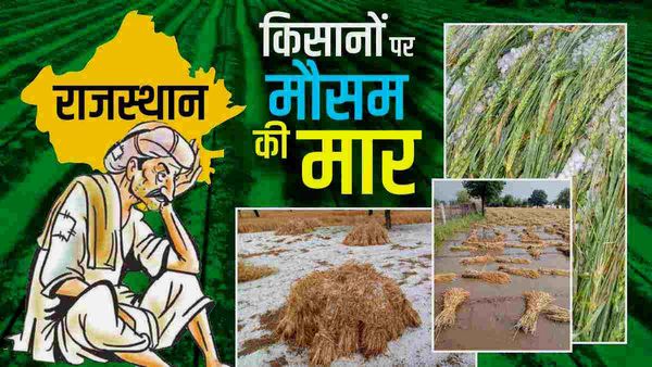 Rajasthan Weather: ओलावृष्टि से फसल बर्बाद हुई तो इस किसान ने दे दी जान, राजस्‍थान का पहला मामला