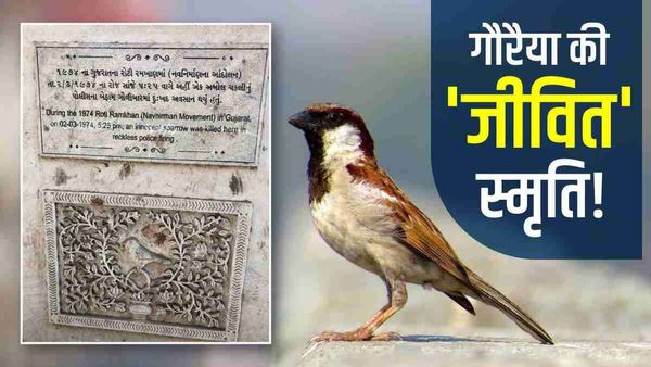 World Sparrow Day: गौरैया की याद में बनी दुनिया एकमात्र कब्र, 1974 में हुई मौत, प्लेट पर लिखा है संदेश