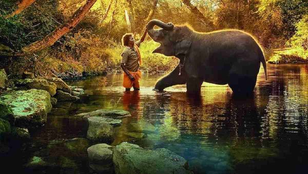 Oscar 2023: शॉर्ट फिल्म 'द एलिफेंट व्हिस्परर्स' ने रचा इतिहास, भारत ने लहराया अपना परचम