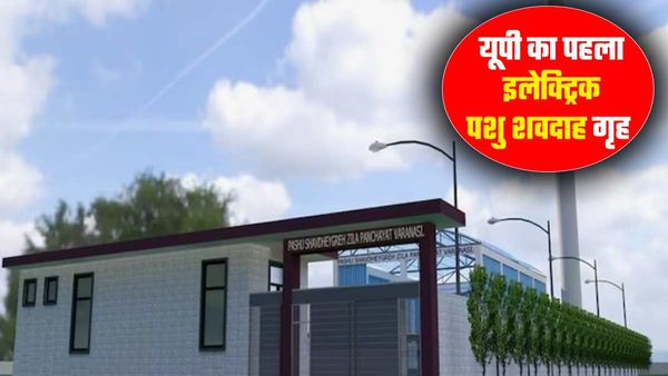 मृत पशुओं की राख से बनेगी खाद, PM Modi करेंगे UP के पहले इलेक्ट्रिक पशु शवदाह गृह का उद्घाटन