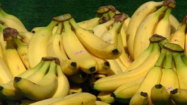 Banana: केला टेढ़ा क्यों होता है? सवाल का जवाब जान हिल जाएगा दिमाग