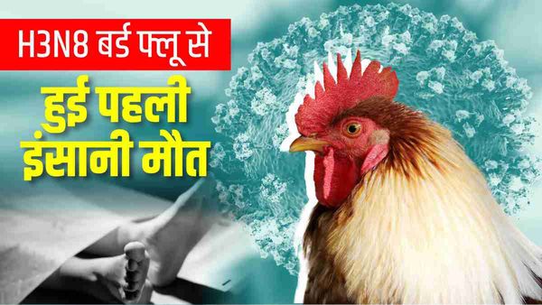 Bird Flu Virus: चीन में बर्ड फ्लू के नए वायरस का कहर! H3N8 से पहली बार इंसान की मौत