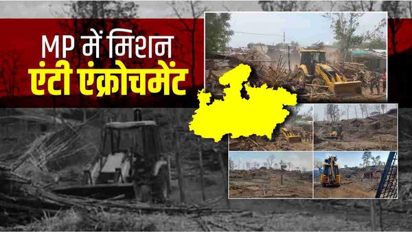 Burhanpur के नेपानगर में जंगल माफियाओं के खिलाफ सबसे बड़ी कार्रवाई, 1 दिन में 300 से ज्यादा अवैध कब्जे ढहाए