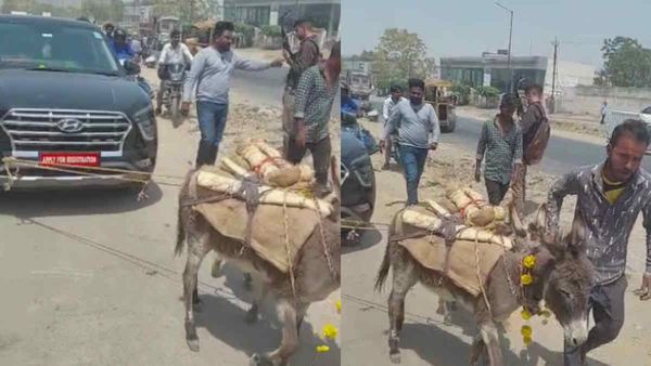 Udaipur: मालिक ने 18 लाख की नई Car को Donkey से खिंचवाकर पहुंचाया शोरूम, वजह चौंकाने वाली