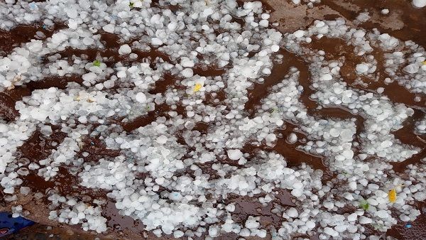 MP Weather Update: वैशाख में ओलावृष्टि, दमोह में गुलमर्ग सा नजारा, फसलें, आम की उपज भी बर्बाद