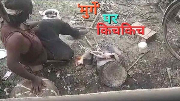 Damoh: किशोर न्याय बोर्ड परिसर में 'मुर्गे' पर विवाद, पकाने से रोका तो जहरीला सांप छोड़ने की धमकी