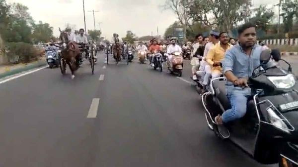 Delhi Tanga Race VIDEO: दिल्ली में बीच सड़क तांगा रेस, बैरिकेडिंग से लगी लगाम,10 हिरासत में