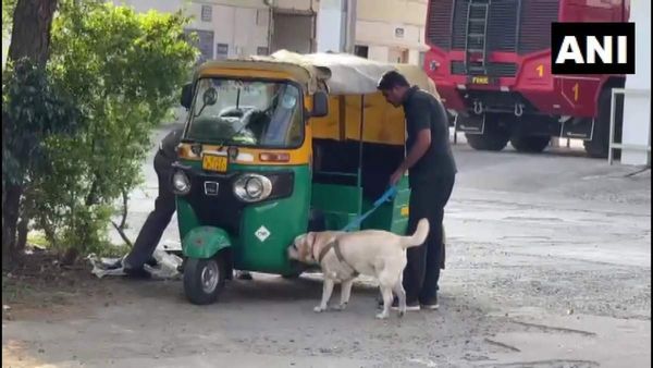 Gujarat में राजकोट एयरपोर्ट पर शराब के नशे में पहुंचा ऑटो ड्राइवर, बैरिकेडिंग तोड़ी, पुलिस ने क्या बताया?