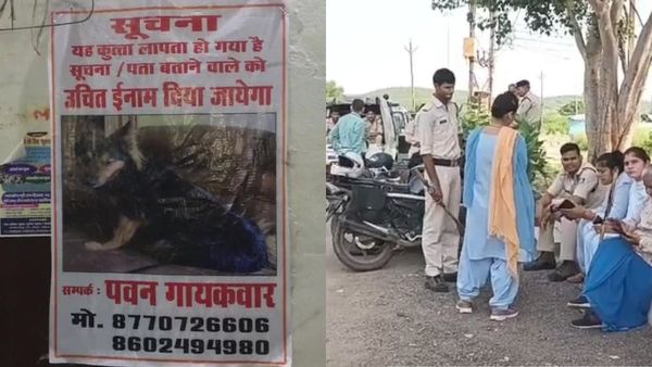 IAS अधिकारी का गायब हुआ पालतू कुत्ता, पूरे शहर में लगे इनाम वाले पोस्टर, खोजबीन में जुटी पुलिस