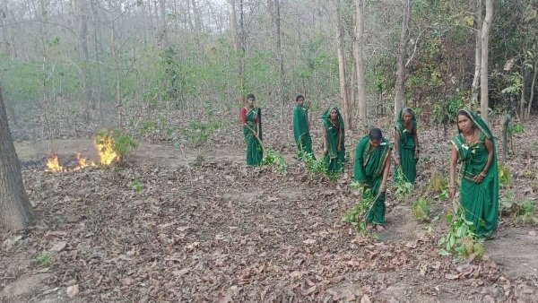 World Earth Day: छत्तीसगढ़ के जंगलों में आग बुझा रही हैं महिलाएं, हरी साड़ी पहनकर बनीं वनरक्षक