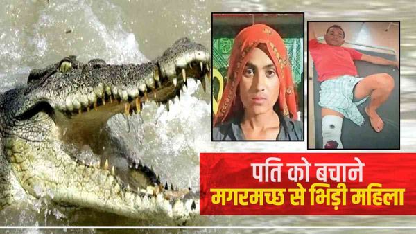 राजस्थान: पति को बचाने के लिए महिला ने लगाई जान की बाजी, लाठी लेकर मगरमच्छ से भिड़ने चंबल में कूदी