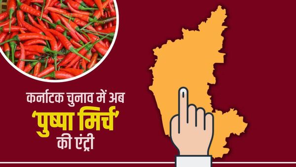 Karnataka Election: दूध के बाद अब 'मिर्च पर महाभारत', जानिए क्यों छिड़ी गुजरात की 'पुष्पा' पर बहस