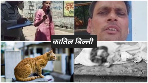 आदमखोर बिल्ली! पलंग पर सो रही जुड़वा बच्चियों पर हमला, सिर का मांस नोंच लिया, सांसें थमीं