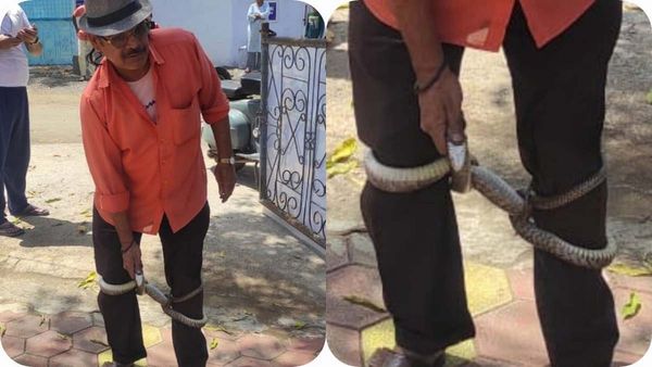 नागराज ने पकड़े पैर, मानो माफी मांग रहे हों, स्नेक कैचर से छोड़ने की लगाई गुहार!