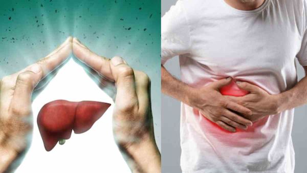 World Liver Day: तीस प्रतिशत भारतीयों में फैटी लीवर की समस्या, जानिए संबंधित बीमारियों के आंकड़ें