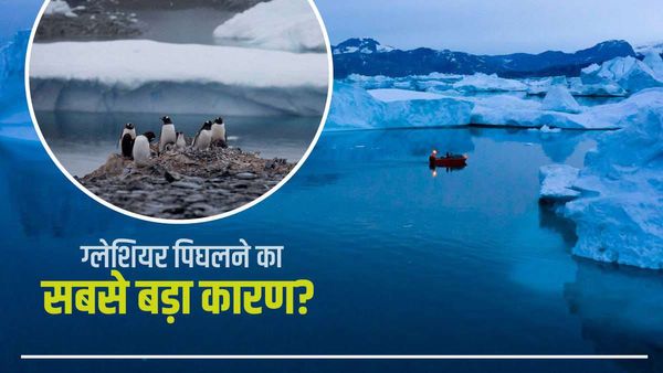 ग्लेशियरों से सिर्फ 10 साल में पिघल गए 680 अरब हाथी के बराबर बर्फ, सबसे बड़ा कारण जानिए
