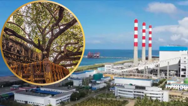 श्रीलंका के महाबोधि वृक्ष को जहरीली गैस से खतरा, चीनी पावर प्लांट एसिड से संकट में दुनिया का सबसे पुराना पेड़