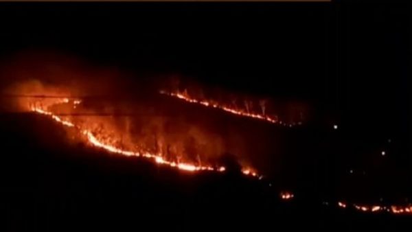 Panna Tiger Reserve के बफर जोन के जंगलों में फिर लगी आग, सुलग रहे पहाड़ी के पेड़