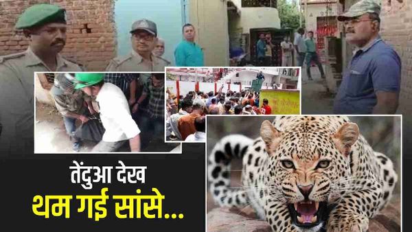Satna News: दबे पांव घर के भीतर घुसा तेंदुआ, अकेली थी महिला फिर जो हुआ Video देखकर दंग रह जाएंगे आप