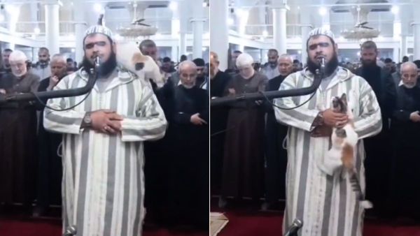 WATCH VIDEO: नमाज के दौरान ईमाम के शरीर पर बिल्ली ने मचाई उछल-कूद, हैरान रह गए लोग