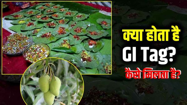 GI Tag क्या है? इससे लंगड़ा आम और बनारसी पान को कैसे मिलेगा फायदा, समझें आसान भाषा में