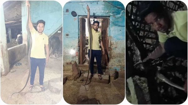 Sagar: घर पर सांप का कब्जा! परिजन सड़क पर, रेस्क्यू में 10 फीट लंबा घोड़ा पछाड़ सांप निकला