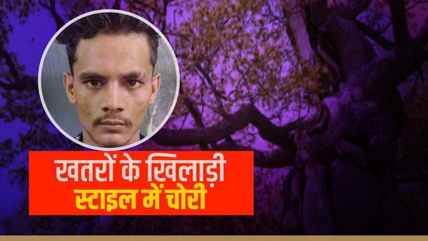 चोर है या स्पाइडर मैन? उंची बिल्डिगों में घुस मिनटों में साफ कर देता था लाखों का माल