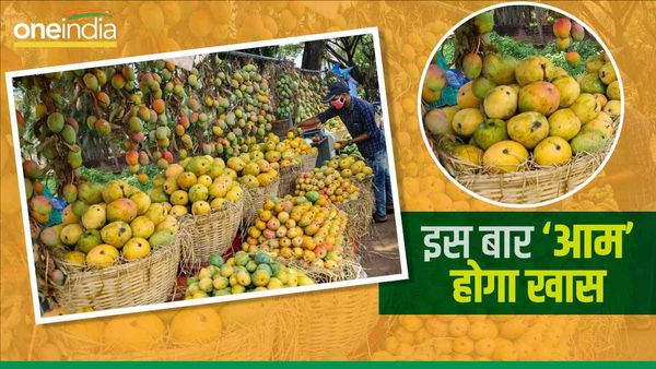 आम के 'शौकीनों' के लिए बुरी खबर! इस साल करना पड़ सकता है लंबा इंतजार, जानिए वजह