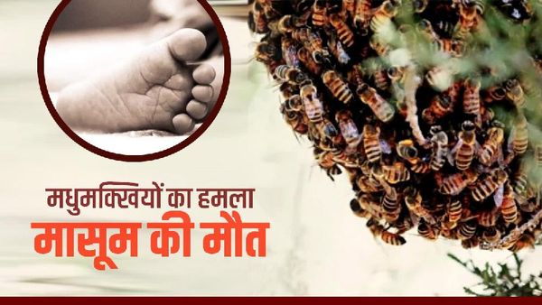 मधुमक्खियों के हमले से ढाई साल के मासूम की मौत, मामा की शादी के लिए जाते समय हुआ हादसा