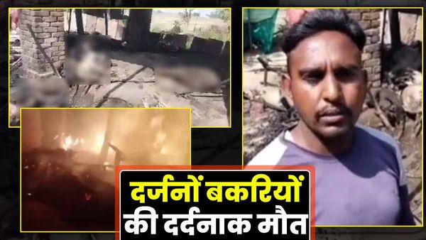 Bhadohi News: बारात में छोड़े जा रहे पटाखों से झोपड़ी में लगी आग, दर्जनों बकरियां जलकर मरीं