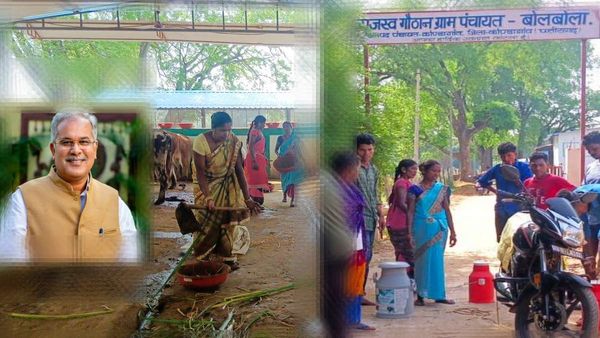 CM भूपेश बघेल की एक अपील ने लाई दुग्ध क्रांति, छोटा सा गांव हुआ दुग्ध उत्पादन में आत्मनिर्भर