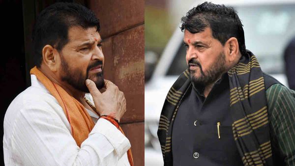 UP Nikay Chunav: बृजभूषण शरण सिंह के गढ़ गोंडा में 'हारी' BJP, सपा के राशिद ने इतने मतों से दर्ज कराई जीत