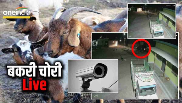 लग्जरी गाड़ी से बकरी चोरी करने पहुंचे शातिर चोर, CCTV फुटेज से खुला राज़, लेकिन पुलिस के हाथ ख़ाली