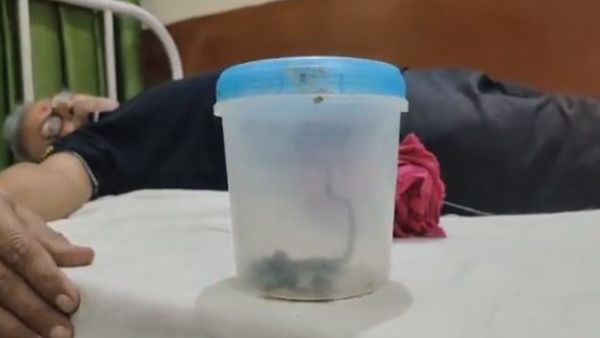 कोबरा को प्लास्टिक के डिब्बे में बंद कर अस्पताल पहुंचा 65 साल का बुजुर्ग, सांप को देखकर डॉक्टर भी हैरान