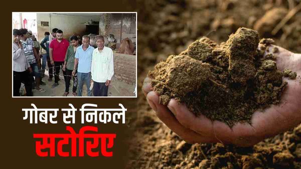 Jabalpur में भैसों का तबेला बना सट्टे का अड्डा, पुलिस पहुंची तो गोबर पर कूदते-फांदते आरोपियों का निकला जुलूस