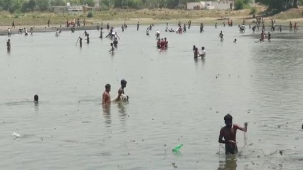 मप्र के खजुराहो में मछलियों की खुली लूट, जा​निए क्या है माजरा, पढ़िए खबर