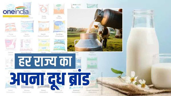 अमूल या नंदिनी ही नहीं हर राज्य का है अपना दूध ब्रांड, देखें दुग्ध उत्पादन के दिलचस्प आंकड़े