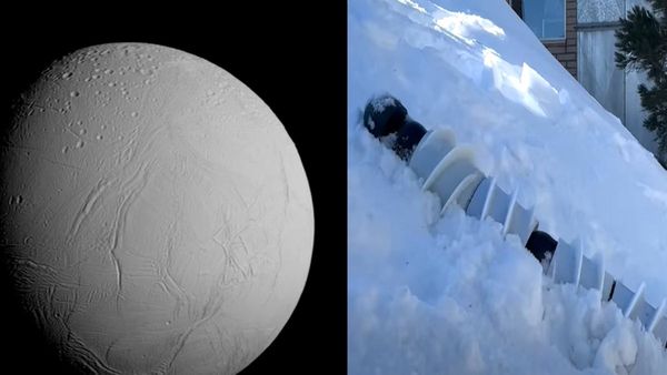 सांप जैसा 100 Kg का Robot, 'चांद के उस पार' बनाएगा ठिकाना! Space में 'समुद्र' के रहस्य से उठेगा पर्दा