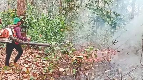 ओडिशा सरकार: 'जंगल की आग पर काबू पाने के लिए स्थानीय समुदायों को शामिल करें'
